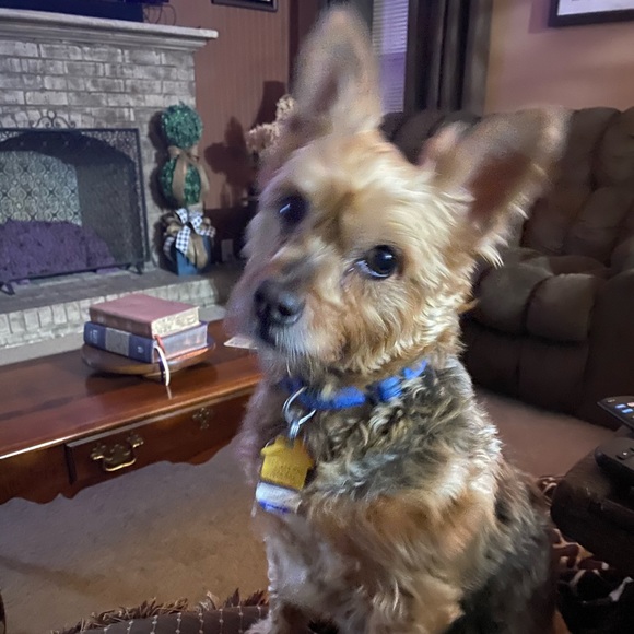 Meet your Posher, Kathy - Picture 1 of 1